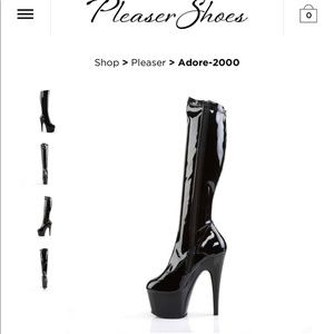 Pleaser 6 inch heels